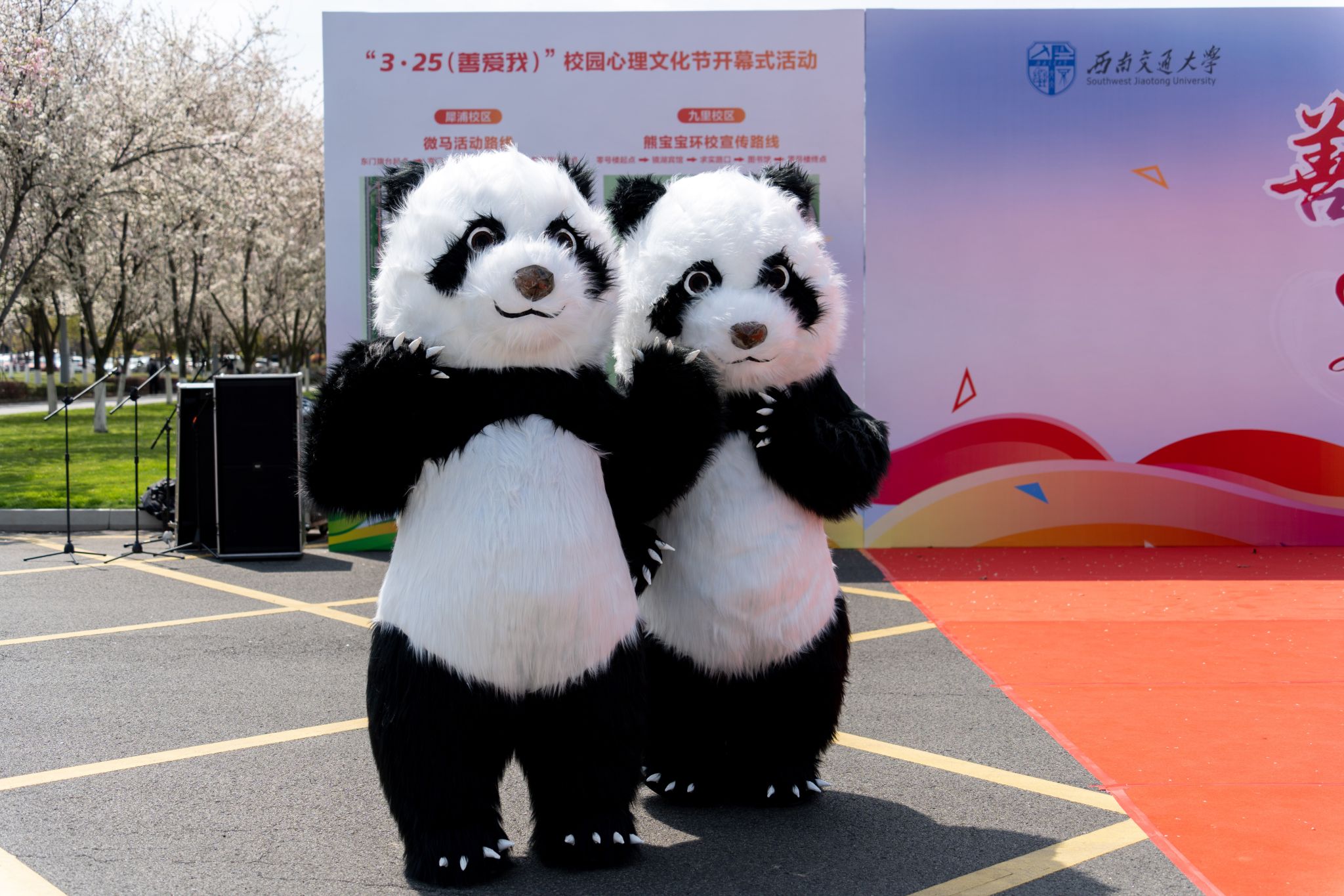 百家乐攻略