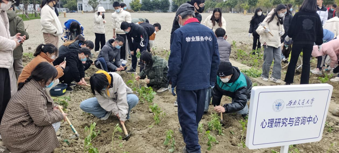 百家乐攻略