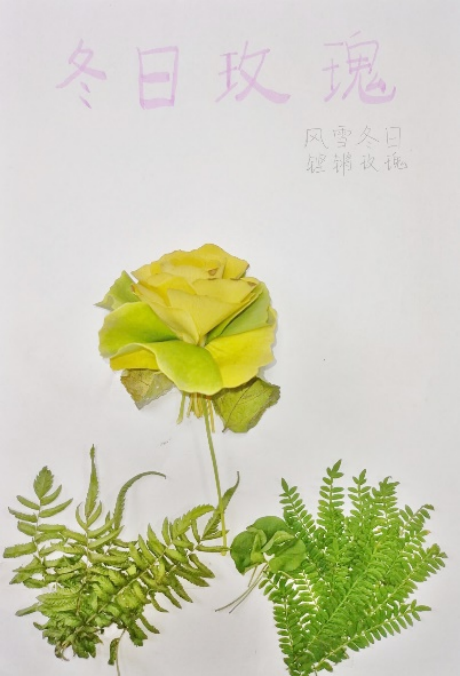 百家乐攻略